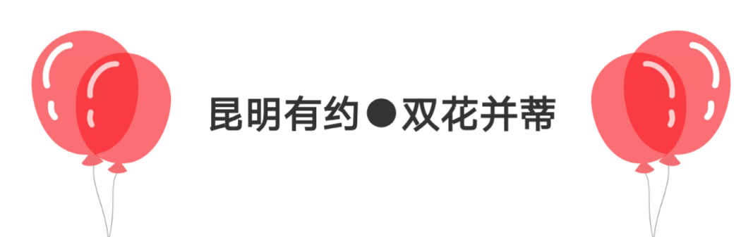 1574667723953061xVdH.png